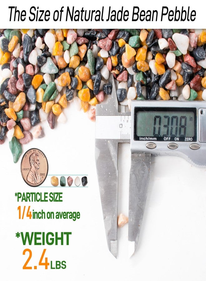 CJGQ 2.4lb Aquarium Gravel for Plants, 1/4Inch Fish Tank Gravel for Succulent Cactus and Bonsai, Decorative River Rocks Pebbles for Gardening, Flower Pots, Landscaping,Terrarium - Image 2